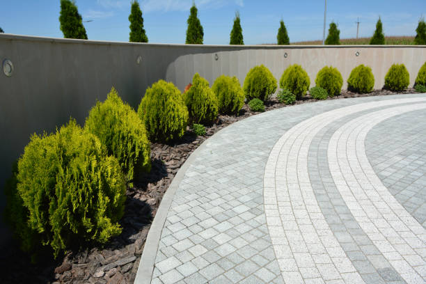 Best Driveway Pavers Near Me  in Frazier Park, CA